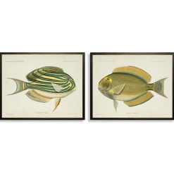 Framed Art-Kirkland's Home Acanthurus Fish Framed Art Prints, Set Of 2 White/Multi