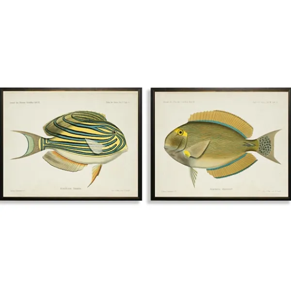 Framed Art-Kirkland's Home Acanthurus Fish Framed Art Prints, Set Of 2 White/Multi