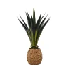 Trees & Topiaries-Kirkland's Home Agave Arrangement In Natural Woven Basket Green