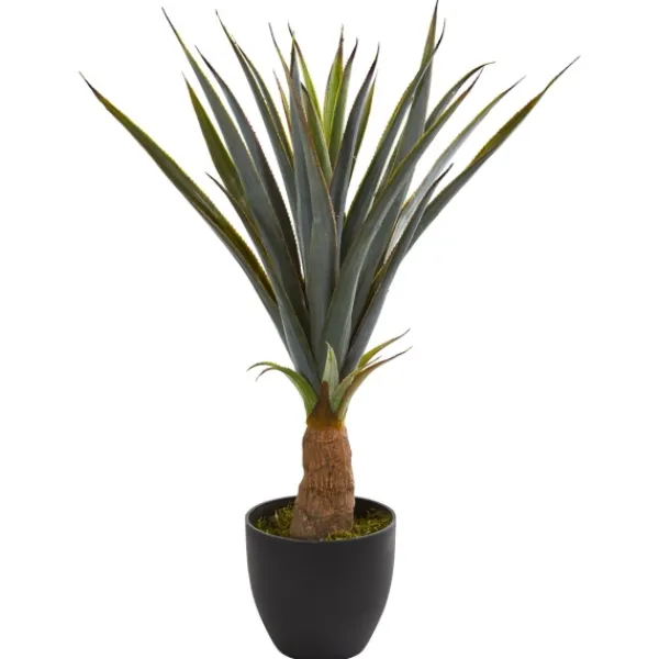 Trees & Topiaries-Kirkland's Home Agave In Planter, 30 In.