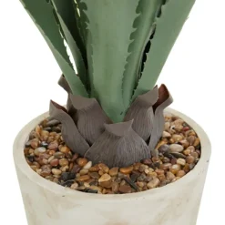 Arrangements & Greenery-Kirkland's Home Aloe Barbadensis In Pebble Planter Green/White