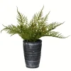 Arrangements & Greenery-Kirkland's Home Asparagus Fern In Tall Black Planter Green/Black