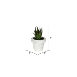 Arrangements & Greenery-Kirkland's Home Assorted Potted Succulent Arrangements, Set Of 6 Green/White