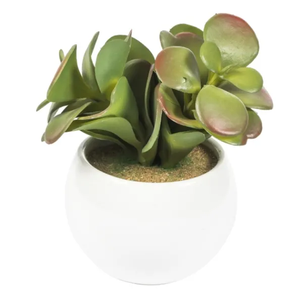 Arrangements & Greenery-Kirkland's Home Assorted Succulents In White Planters, Set Of 3 Green/White/Orange