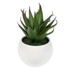 Arrangements & Greenery-Kirkland's Home Assorted Succulents In White Planters, Set Of 3 Green/White/Orange