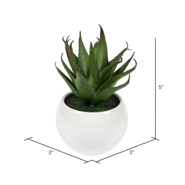 Arrangements & Greenery-Kirkland's Home Assorted Succulents In White Planters, Set Of 3 Green/White/Orange