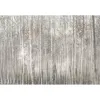 Canvas Art-Kirkland's Home Birch Trees Canvas Art Print Gray
