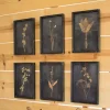 Framed Art-Kirkland's Home Black Botanical Framed Art Prints, Set Of 6 Black/Tan
