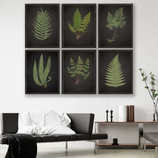 Framed Art-Kirkland's Home Black Fern I Framed Art Print Green/Black