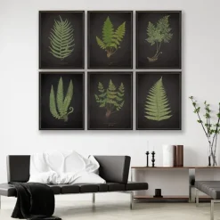 Framed Art-Kirkland's Home Black Fern Iv Framed Art Print Green/Black