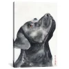 Canvas Art-Kirkland's Home Black Labrador Giclee Canvas Art Print, 18X26 Black/White
