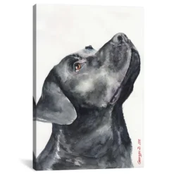 Canvas Art-Kirkland's Home Black Labrador Giclee Canvas Art Print, 18X26 Black/White