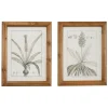 Framed Art-Kirkland's Home Black White Vintage Botanical Framed Art, Set Of 2 Black/White