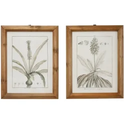 Framed Art-Kirkland's Home Black White Vintage Botanical Framed Art, Set Of 2 Black/White