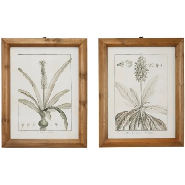 Framed Art-Kirkland's Home Black White Vintage Botanical Framed Art, Set Of 2 Black/White