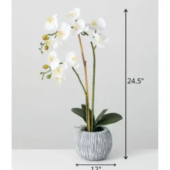 Arrangements & Greenery-Kirkland's Home Blooming White Orchid Potted Floral Arrangement Green/White/Yellow