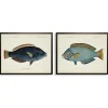 Wall Quotes & Signs-Kirkland's Home Blue Fish Framed Art Prints, Set Of 2 Blue/White