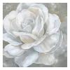 Canvas Art-Kirkland's Home Bombshell Bloom Ii Canvas Art Print, 20X20 In. White/Gray