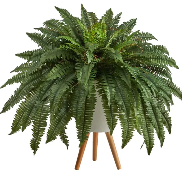 Trees & Topiaries-Kirkland's Home Boston Fern Arrangement In White Planter