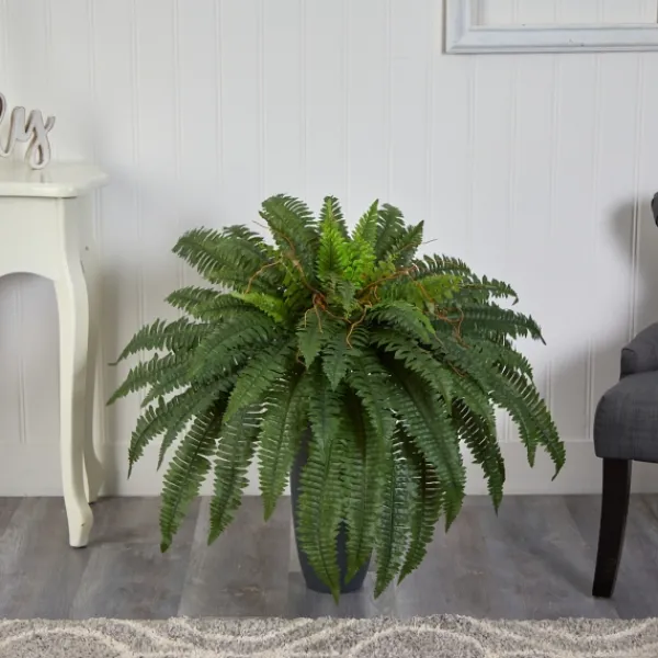 Arrangements & Greenery-Kirkland's Home Boston Fern In Oblong Gray Planter Green/Gray