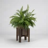 Arrangements & Greenery-Kirkland's Home Boston Fern In Round Wooden Planter With Stand Green