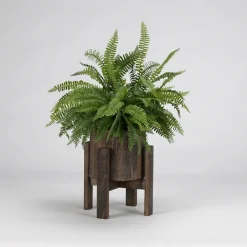 Arrangements & Greenery-Kirkland's Home Boston Fern In Round Wooden Planter With Stand Green
