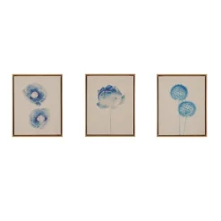 Framed Art-Kirkland's Home Botanical Framed Linen Canvas Art Print, Set Of 3 Blue/Tan