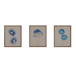 Framed Art-Kirkland's Home Botanical Framed Linen Canvas Art Print, Set Of 3 Blue/Tan