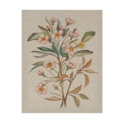 Canvas Art-Kirkland's Home Botanical Linen Art Prints, Set Of 3 Multi