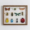 Framed Art-Kirkland's Home Bug Collection Framed Wall Art Black/White/Yellow