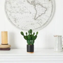 Arrangements & Greenery-Kirkland's Home Bunny Ear Cactus In Black Mod Planter Green/Black
