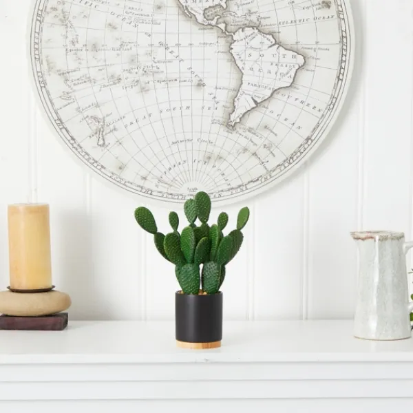 Arrangements & Greenery-Kirkland's Home Bunny Ear Cactus In Black Mod Planter Green/Black