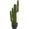 Trees & Topiaries-Kirkland's Home Cactus Plant, 3 Ft.