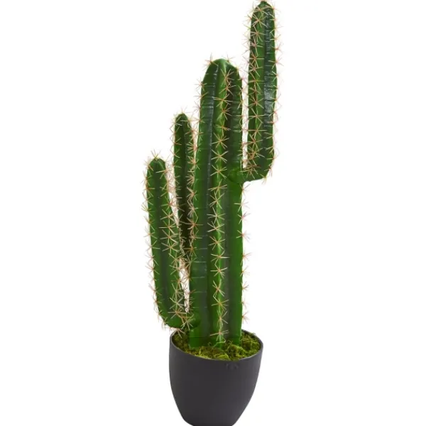 Trees & Topiaries-Kirkland's Home Cactus Plant, 3 Ft.