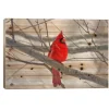 Wall Plaques-Kirkland's Home Cardinal Branch Wood Art Print Red/Brown