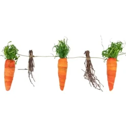 Decorative Accents-Kirkland's Home Carrot And Twig Bundle Garland Orange