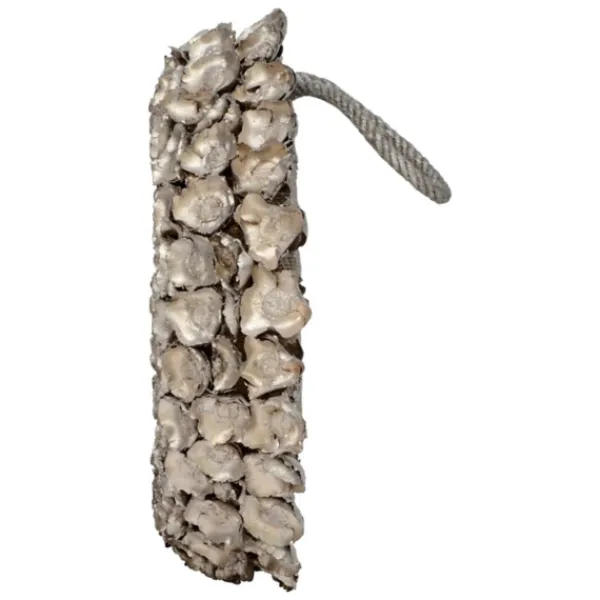 Wreaths-Kirkland's Home Champagne Dried Coco Flower Wreath, 20 In. Silver