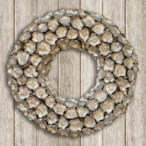 Wreaths-Kirkland's Home Champagne Dried Coco Flower Wreath, 20 In. Silver