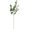 Stems & Bouquets-Kirkland's Home Cinerea Eucalyptus Leaf Stems, Set Of 4 Green