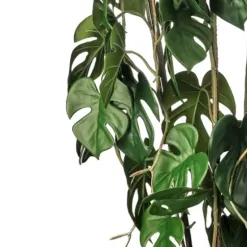 Trees & Topiaries-Kirkland's Home Climbing Split Leaf Philodendron Plant