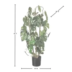 Trees & Topiaries-Kirkland's Home Climbing Split Leaf Philodendron Plant