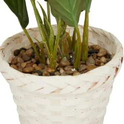 Arrangements & Greenery-Kirkland's Home Coastal Foliage In Woven Bamboo Planter Green/White