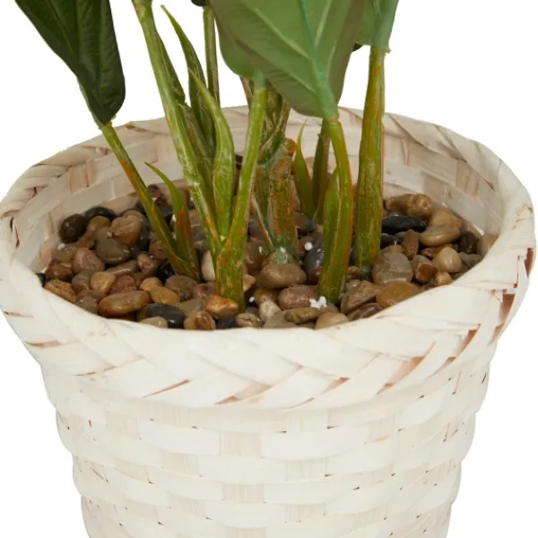 Arrangements & Greenery-Kirkland's Home Coastal Foliage In Woven Bamboo Planter Green/White