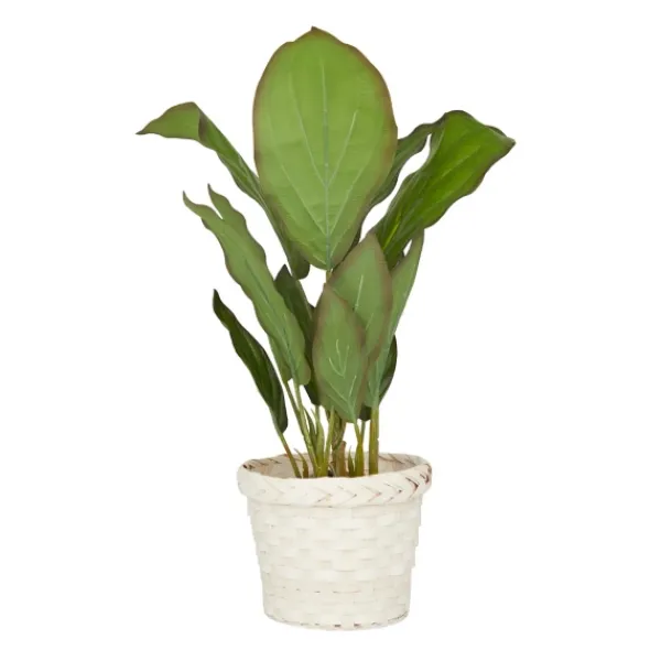 Arrangements & Greenery-Kirkland's Home Coastal Foliage In Woven Bamboo Planter Green/White