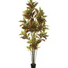 Trees & Topiaries-Kirkland's Home Colorful Croton Tree In Black Planter, 7 Ft.