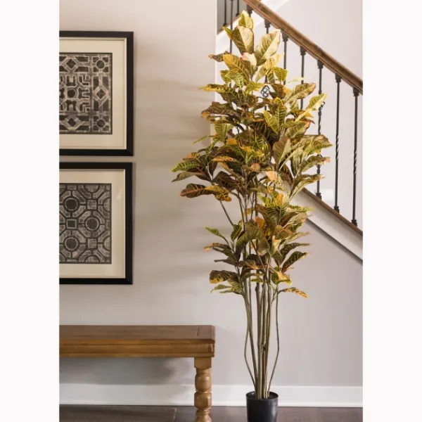 Trees & Topiaries-Kirkland's Home Colorful Croton Tree In Black Planter, 7 Ft.