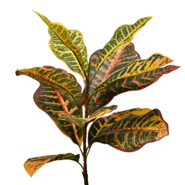 Trees & Topiaries-Kirkland's Home Colorful Croton Tree In Black Planter, 7 Ft.