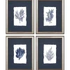 Framed Art-Kirkland's Home Coral 4-Pc. Silver Framed Art Print Set Blue