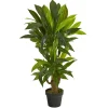 Trees & Topiaries-Kirkland's Home Corn Stalk Dracaena Plant In Black Planter