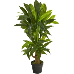 Trees & Topiaries-Kirkland's Home Corn Stalk Dracaena Plant In Black Planter